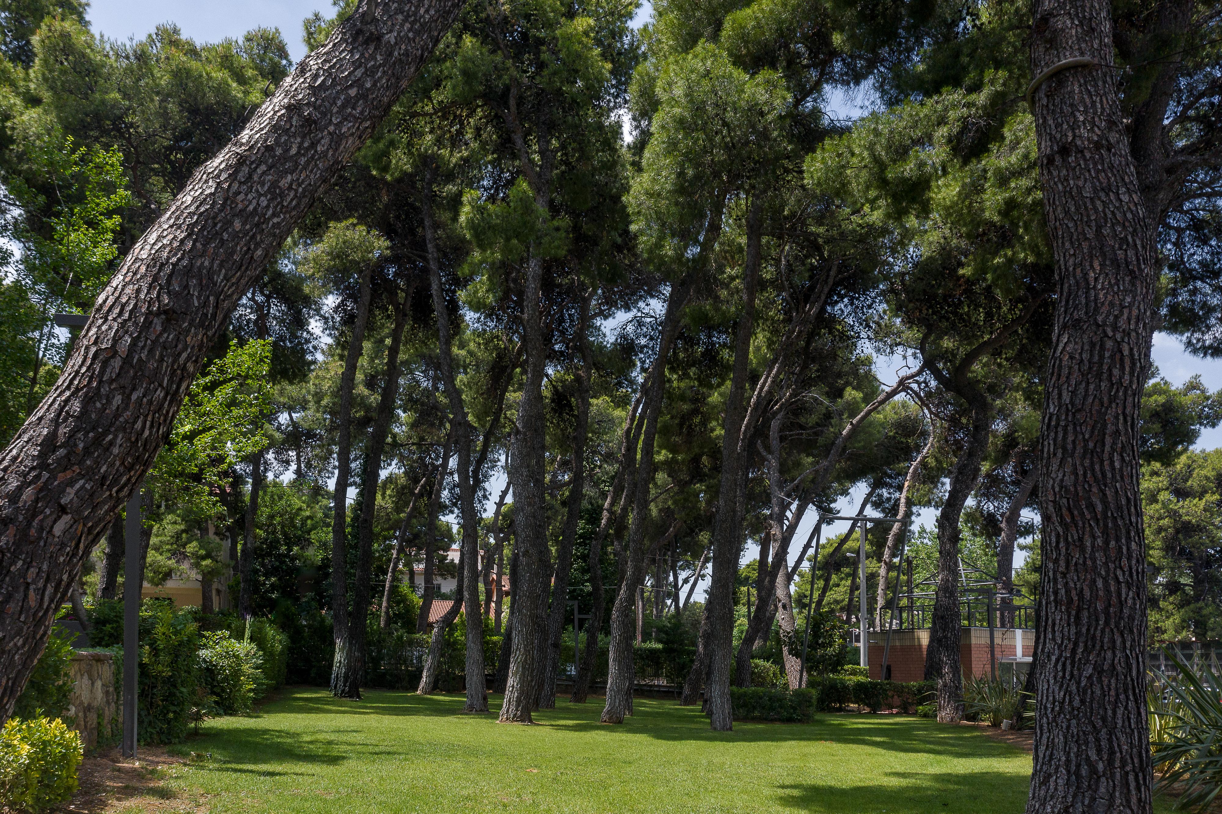Domotel Kastri Athen Exterior foto